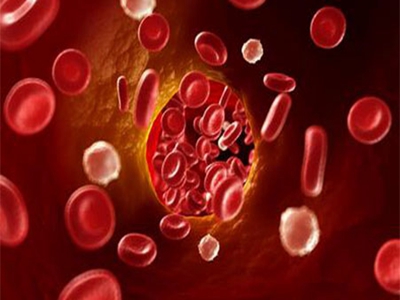 血液相容性试验