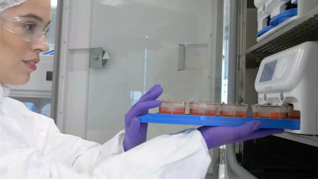 图片来源：Emulate官网